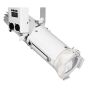 Atomic Pro Fenice 50 Profile 5600K | White