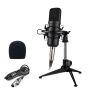 Renton ST100 - XLR studio microphone with shock mount