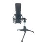 Renton ST100 - XLR studio microphone with shock mount