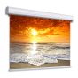 Atomic Pro 178" front projection screen