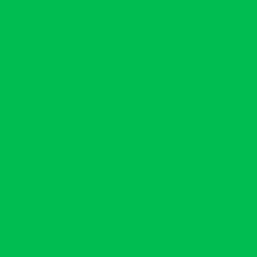 Color filter 124 dark green 61x50cm