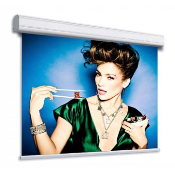 Atomic Pro 178" front projection screen